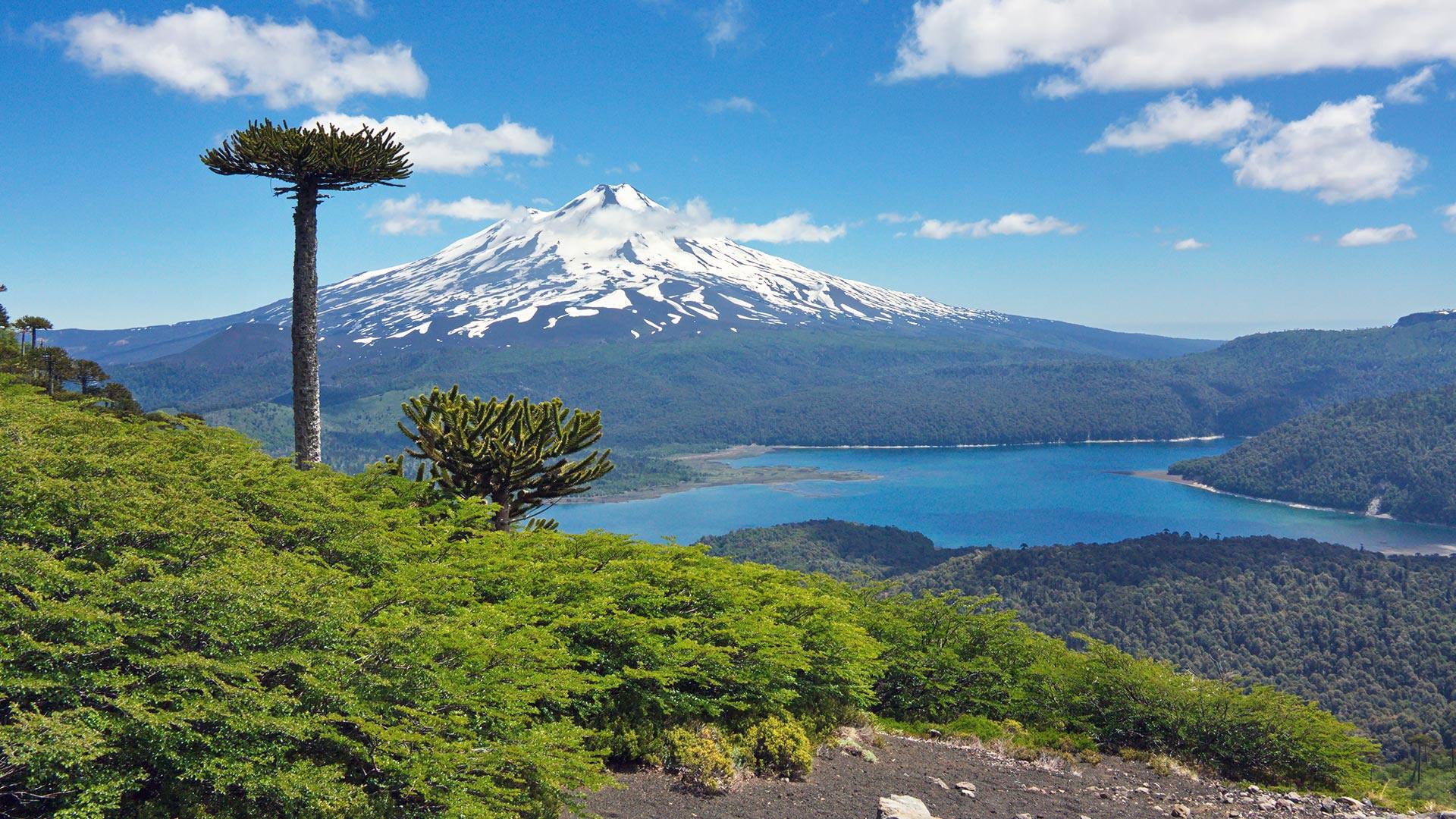 Landscape of Conguillío National Park in southern Chile