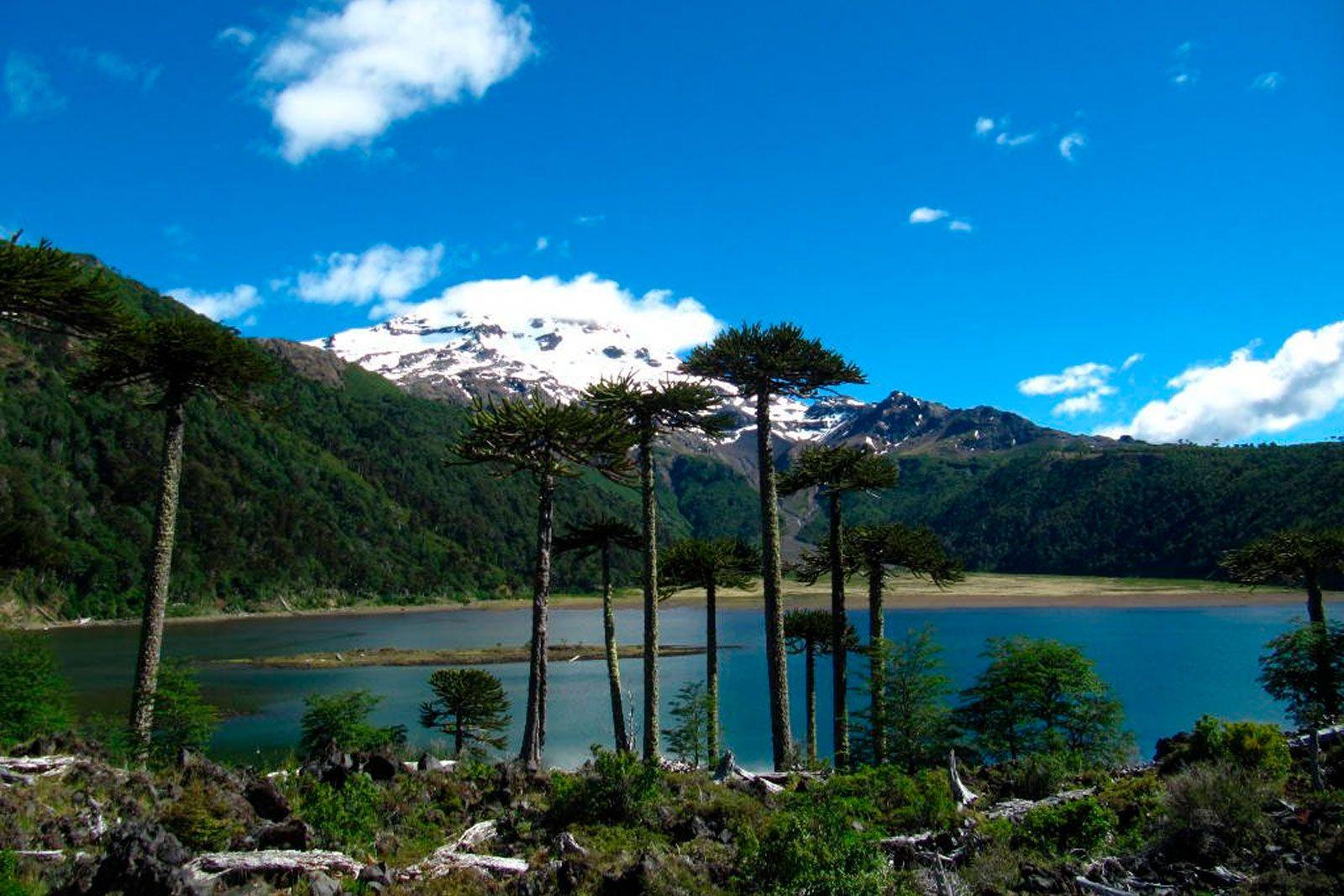 Panoramic view of Laguna Blanca